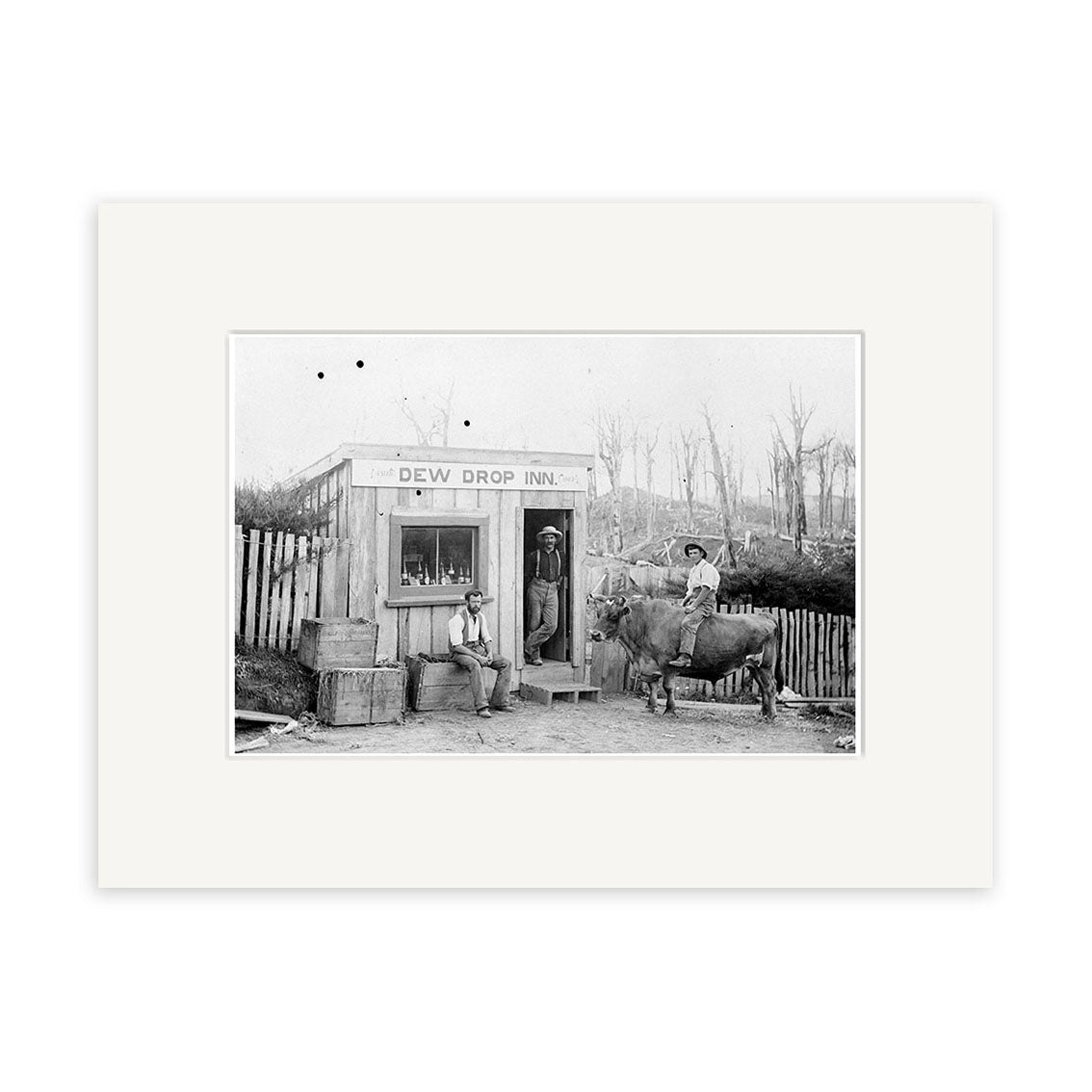 Archival black-and-white Historical Photographic Print: Dew Drop Inn 1910 - HI140 depicts a small wooden building in New Zealand with two men outside—one on a barrel, one on a horse-drawn cart—surrounded by barrels and leafless trees.