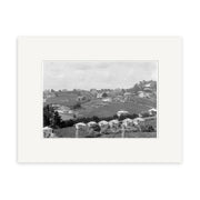 An archival quality black and white photograph, Remuera 1910 No. 1 - HI157, depicts a hilly residential area in New Zealand with scattered houses, trees, open land, and distant buildings beneath a cloudy sky.
