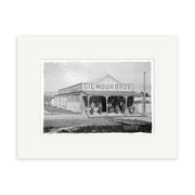 Black and white photo, Gilmour Bros Store 1910 - HI177, shows a group before the Gilmour Bros building in New Zealand, with clear signage for goods and services—historical detail in archival quality.