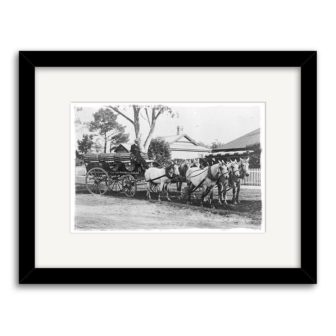 Raglan Mail Coach 1912 - HI181: Black-and-white historical photo print of a man on a horse-drawn wagon with four horses, parked on a dirt road near a house and picket fence. Archival quality, black frame, white mat. Made in New Zealand.