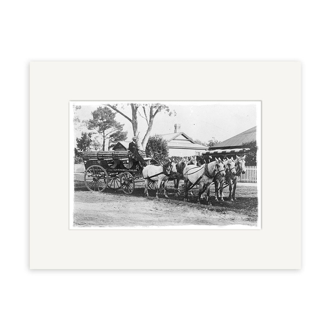 Black and white photo titled Raglan Mail Coach 1912 - HI181 shows a man on a horse-drawn carriage with four horses along a dirt road in New Zealand, with trees, houses, and a white picket fence visible in the background.