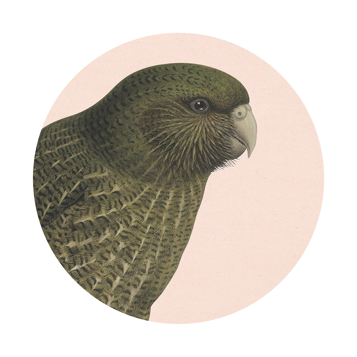 The Hushed Pink Kakapo Art Spot features a green parrot with a pale beak in profile on a light beige circle, showcasing textured feathers and a calm mood—ideal as matte fabric, repositionable wall art.