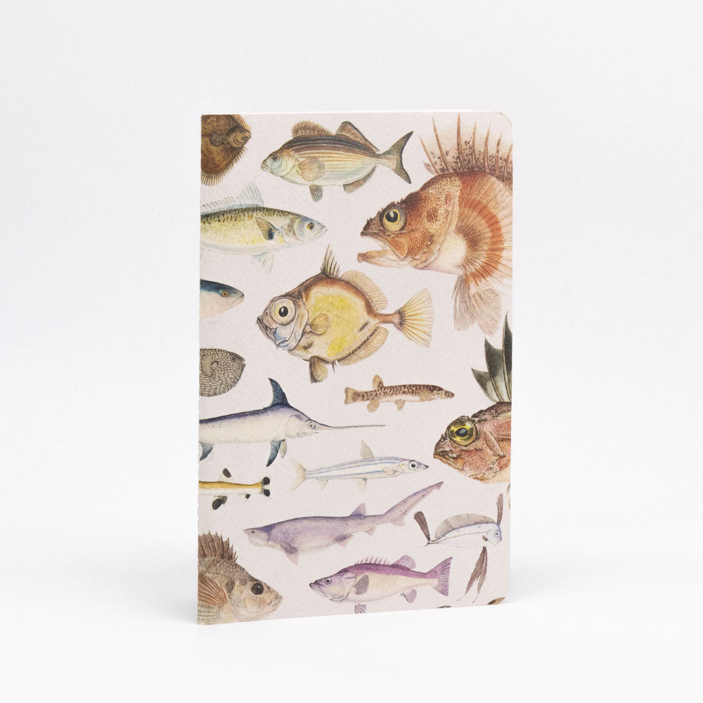 The Fishes of NZ Notebook Set features quality lined paper and a cover with illustrated New Zealand fish species on a white background, shown standing upright against a plain white surface.