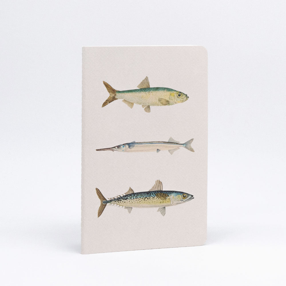 The Fishes of NZ Notebook Set features a beige cover with vertical illustrations of three fish species, quality lined paper, and a plain white background.