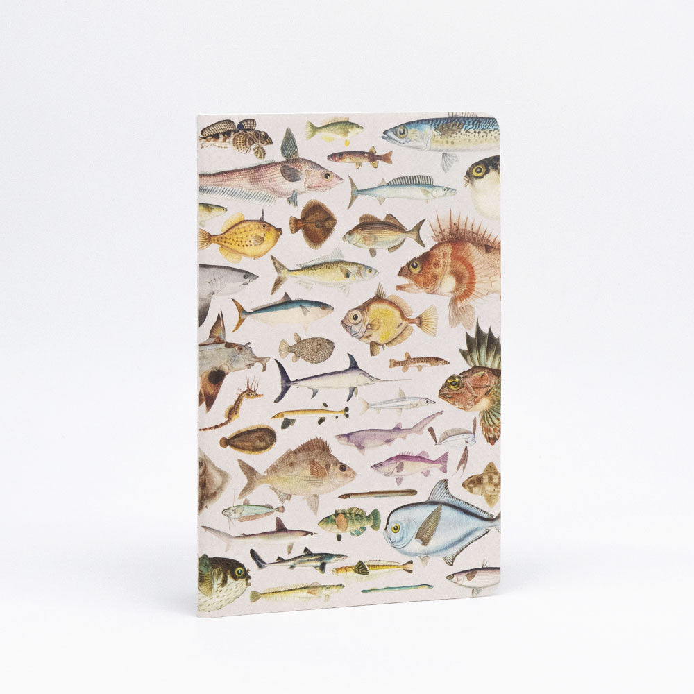 The Fishes of NZ Notebook Set features covers with illustrations of various fish species arranged in rows on a light background, crafted with quality paper and shown against a plain white surface.