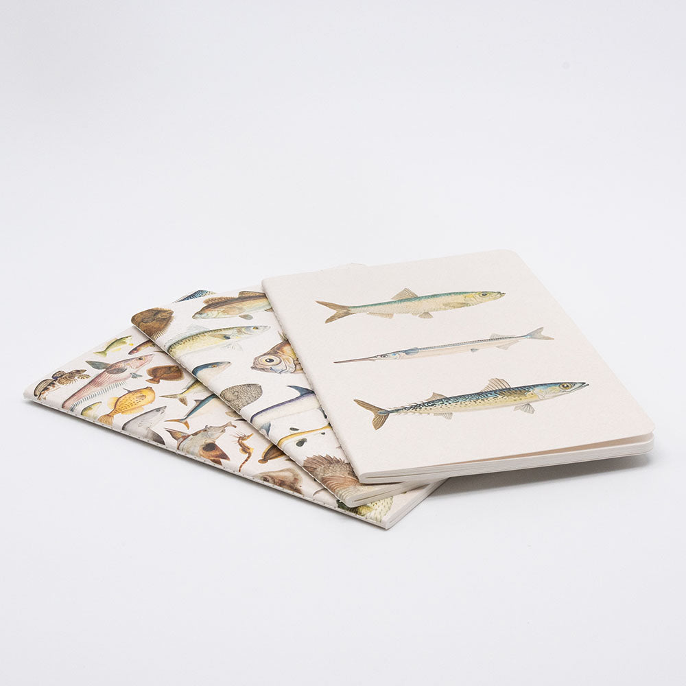 The Fishes of NZ Notebook Set includes three lined notebooks, each featuring vibrant fish illustrations on quality paper, perfect for notes or sketches. Displayed on a white surface, the top notebook shows three unique fish against a plain background.