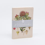 The Botanical Illustration Notebook Set includes three lined notebooks, hand-stitched with quality paper. The top features a botanical cover; all are wrapped in a gray band labeled 3 Notebooks and set against a white background.