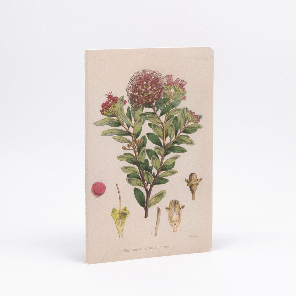 The Botanical Illustration Notebook Set features a flowering plant with green leaves and red blossoms, detailed floral drawings, and a red circle on an off-white background—ideal for lined notebooks with premium paper.