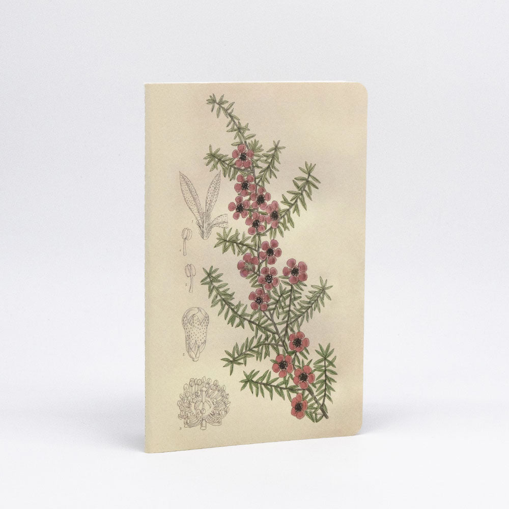 The Botanical Illustration Notebook Set features beige lined notebooks with rounded corners, hand-stitched binding, and quality paper. Each cover displays a botanical branch with red flowers, green leaves, scientific sketches, and a plain white background.