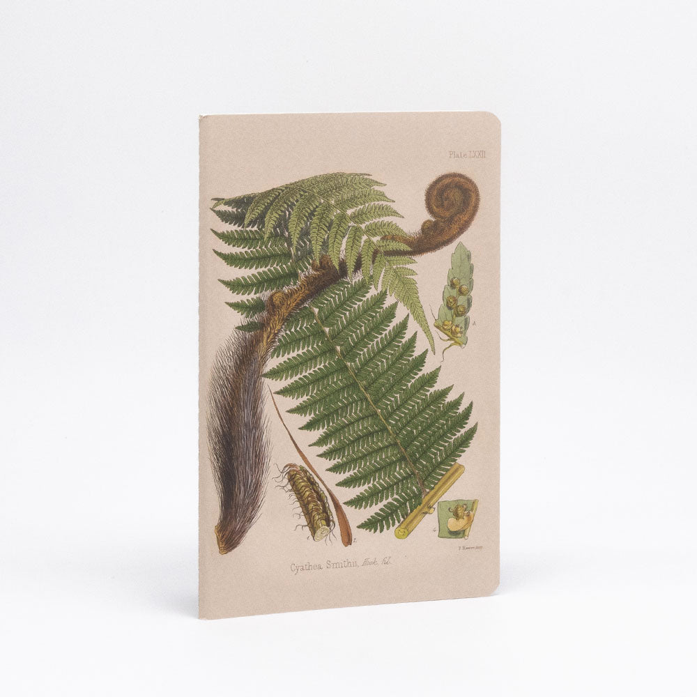 The Botanical Illustration Notebook Set features a lined notebook with a cover showing a detailed fern drawing, labeled Cyathea Smithii, on a plain background. It includes quality paper for smooth writing.
