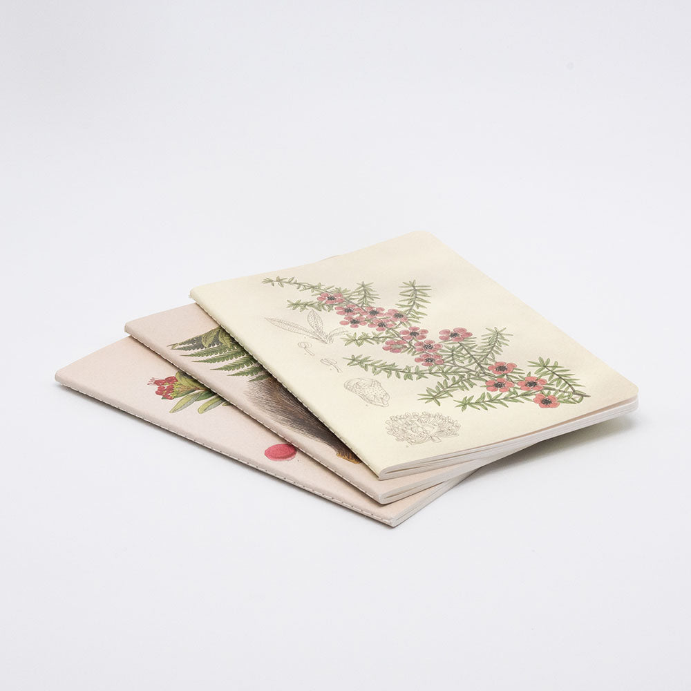 The Botanical Illustration Notebook Set includes three quality lined notebooks stacked on a white surface. The top features pink flowers with green leaves, while the other two display unique botanical designs.