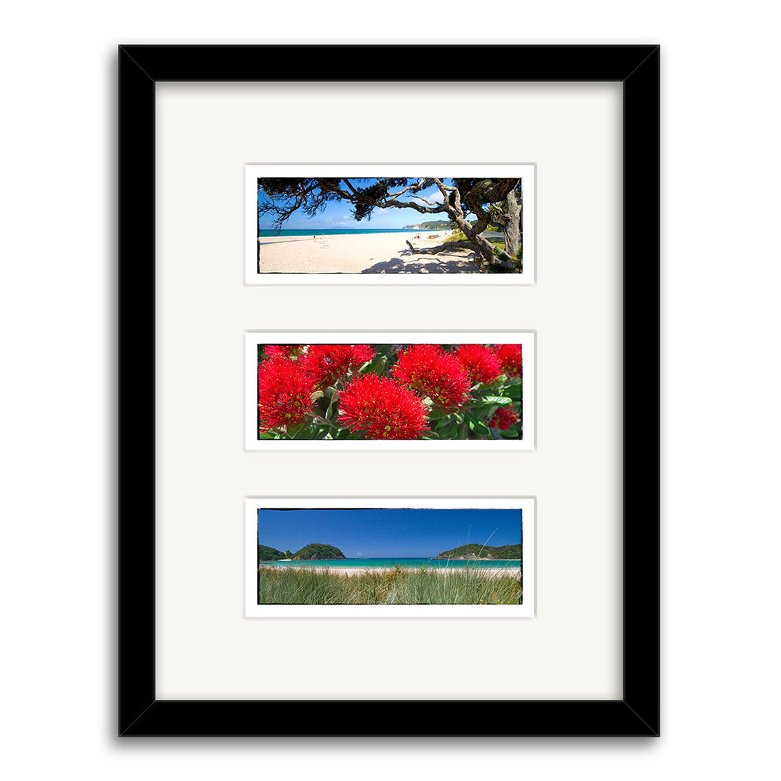 The Northland Triptych - RP031 features three vertically arranged photos in a black frame: a sandy New Zealand beach with trees, vibrant red flowers, and a grassy coastal landscape with distant hills, all set off by white matting.