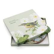 A partially open Birds & Botanicals of NZ Box of 6 Placemats reveals round mats inside, with packaging featuring a bird and white flowers on a pale green background.