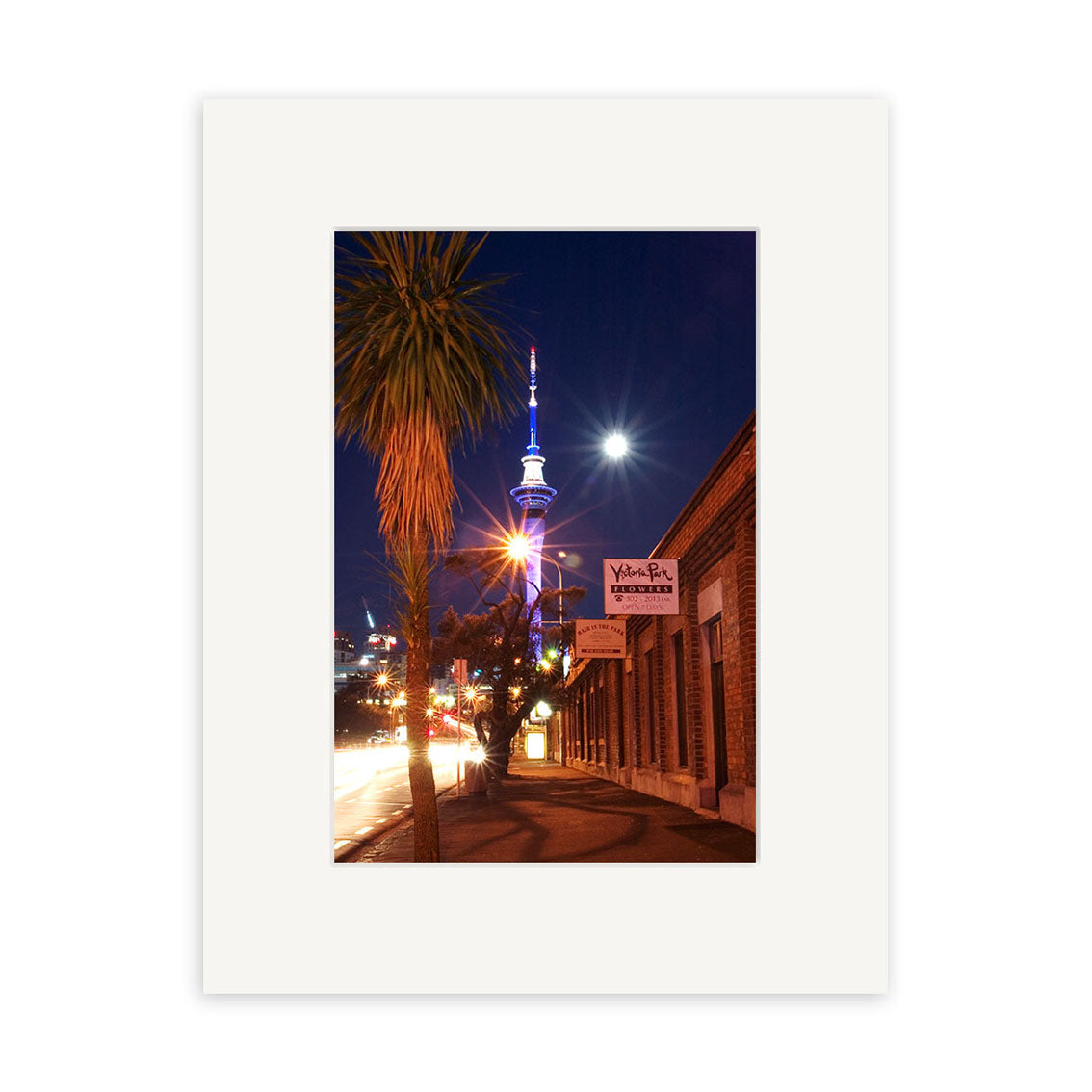 Capture the beauty of New Zealand with Victoria Park - RP008: a nighttime scene featuring the lit Sky Tower, palm tree, and brick buildings under a glowing moon—ideal for photographic prints on archival quality matte paper.