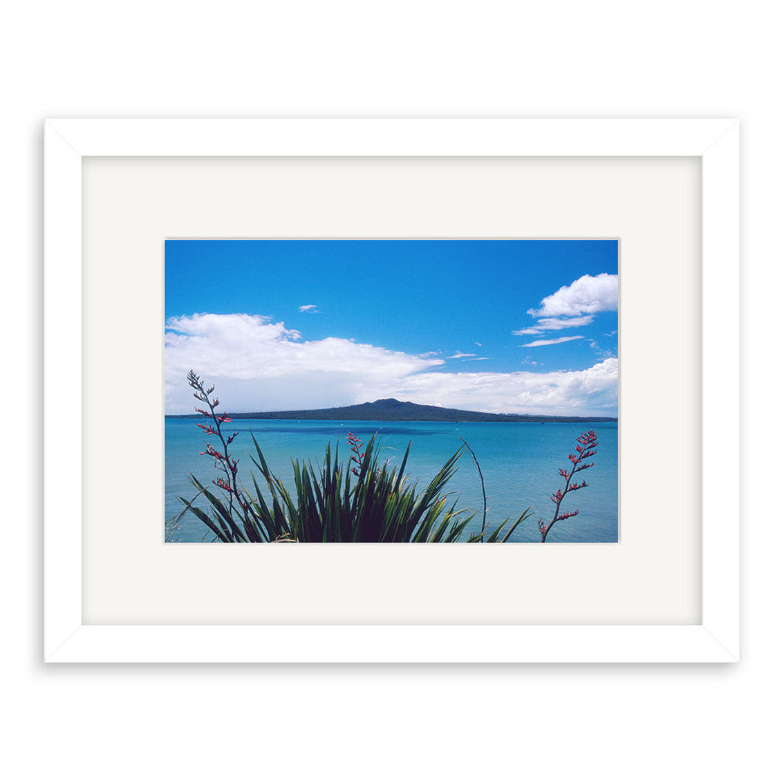 Rangitoto Island - RP012: Framed coastal NZ landscape photo with blue water, clear sky, distant island, green foliage, and red-tipped flowers. Printed on archival matte paper with white frame and mat for lasting beauty.