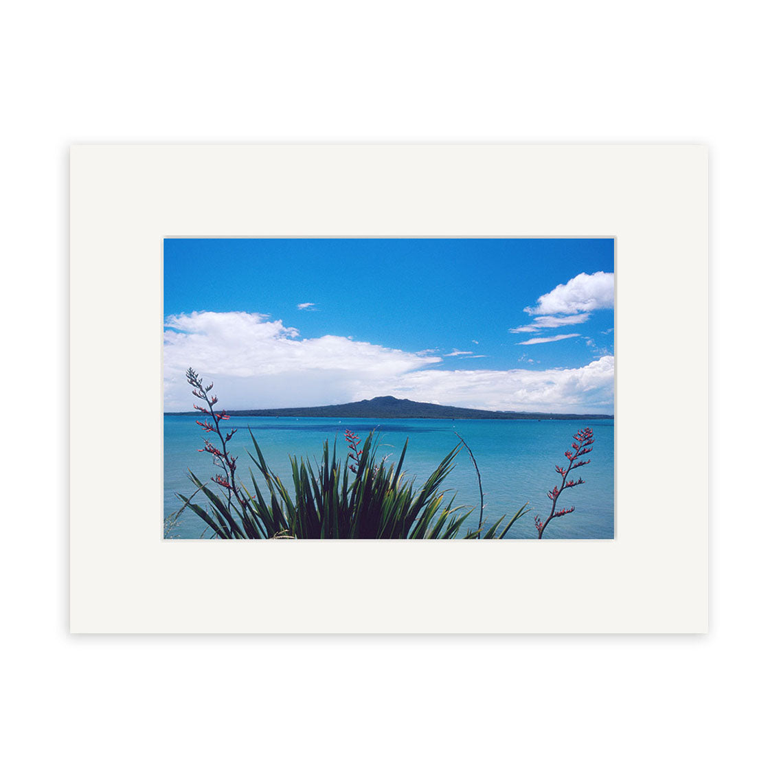 Rangitoto Island - RP012 features a distant island under a blue, clouded sky across calm water, with spiky green plants and red flower stalks in the foreground. This photographic print comes with a white matte border on archival quality paper.