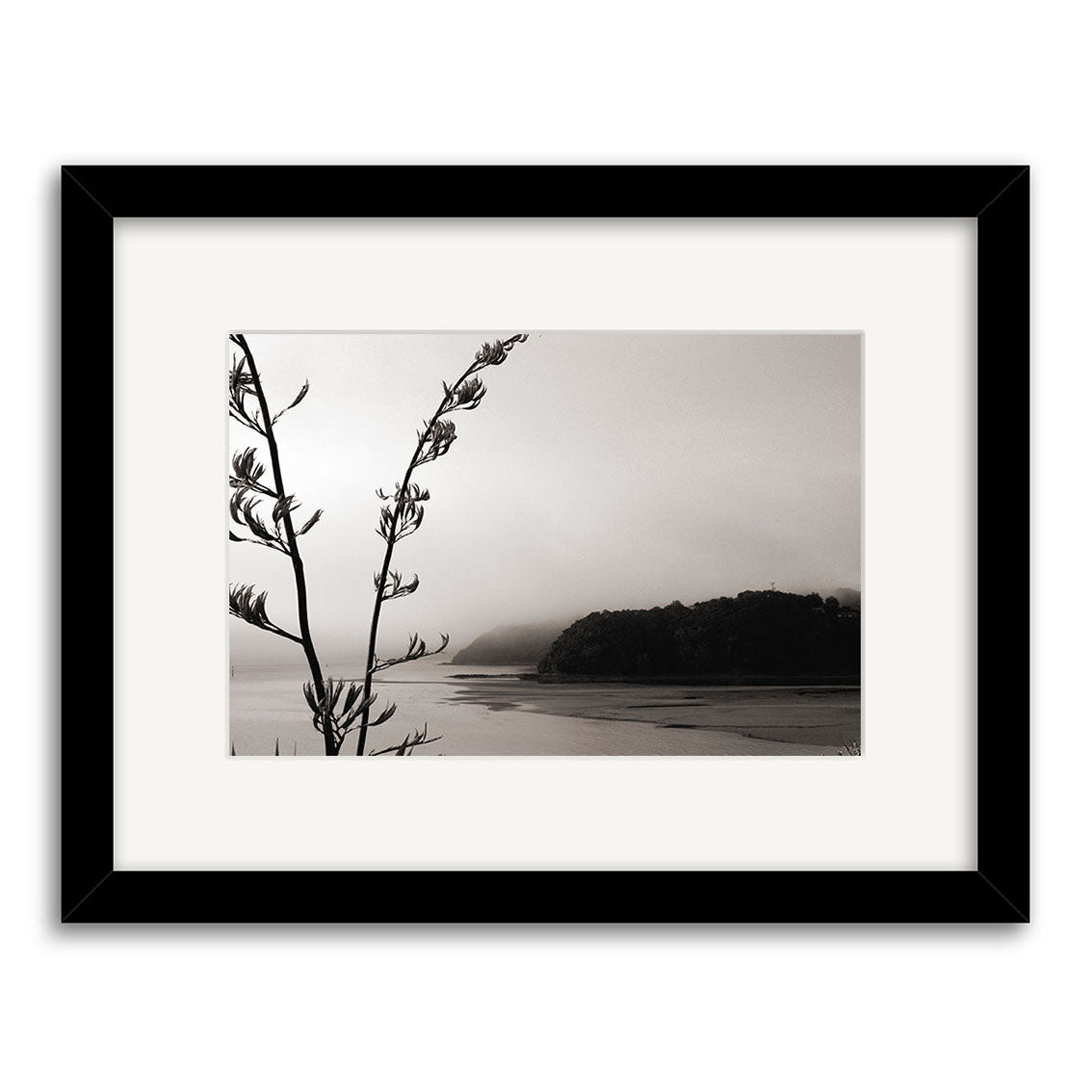 Paihia - RP026: Black and white photo of a New Zealand coastal landscape with distant hills, mist, and a tall plant in the foreground. Archival matte print, framed in black with white mat.