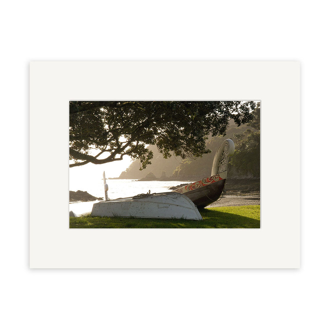 The Waka - RP027, a carved wooden canoe with decorative patterns, rests on grass near a New Zealand shoreline, partially shaded by a tree, with water and rocky coastline in the background.