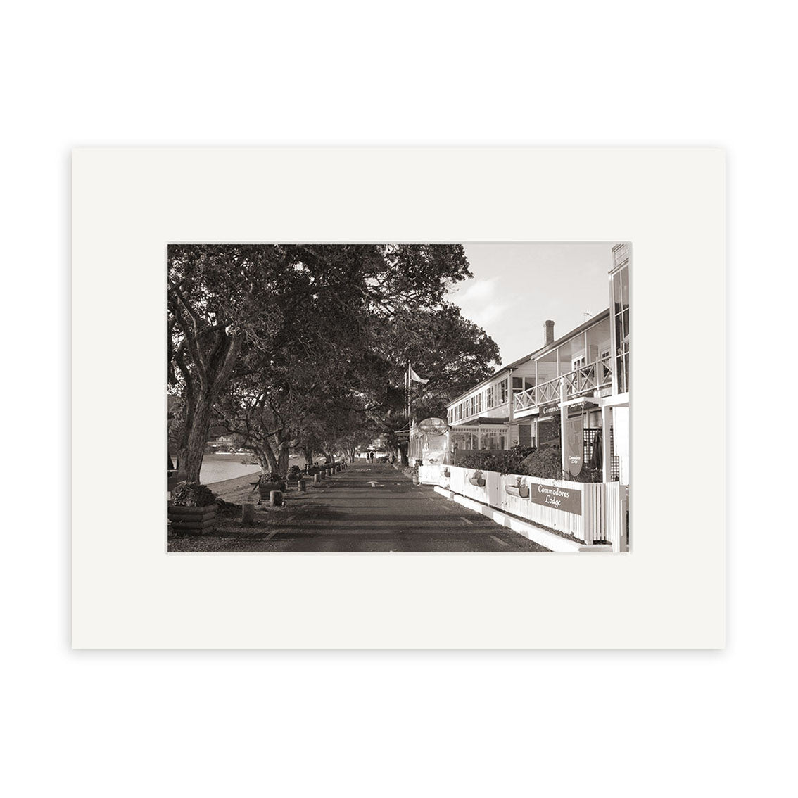 The Strand Russell - RP030 is a black and white photo of a tree-lined street in New Zealand, benches on the left, and a two-story building with balcony and signs on the right. Available as photographic prints on archival matte paper.