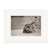 Mud Pool, Rotorua - RP036 captures a black and white burst of mud erupting skyward in New Zealand. This striking photo is mounted on a white mat and offered as archival quality matte paper photographic prints.