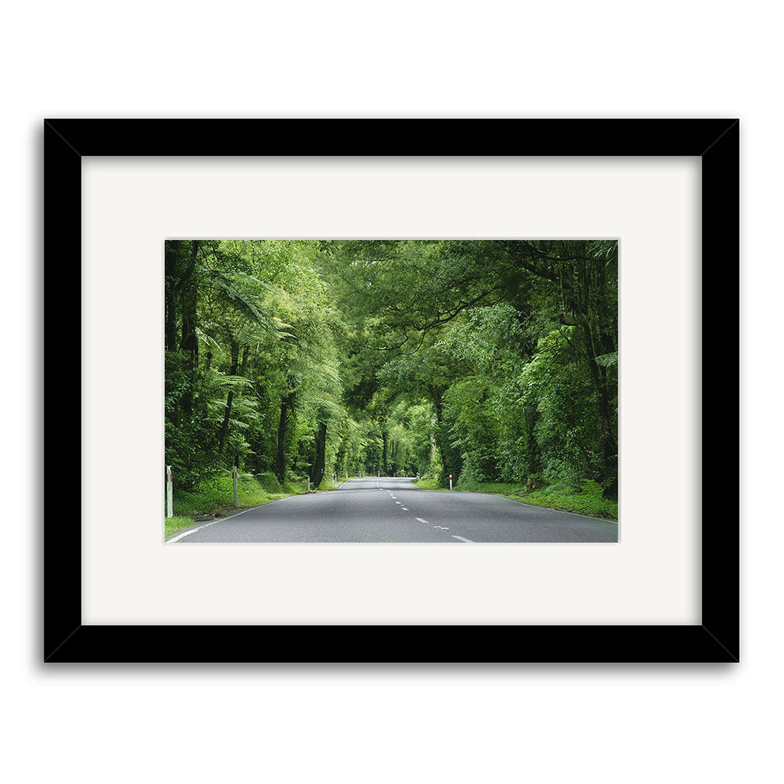 The Fitzgerald Glade - RP040 is a framed photographic print of an empty two-lane road in New Zealand beneath a leafy canopy, presented with a white mat and black archival-quality frame for lasting appeal.