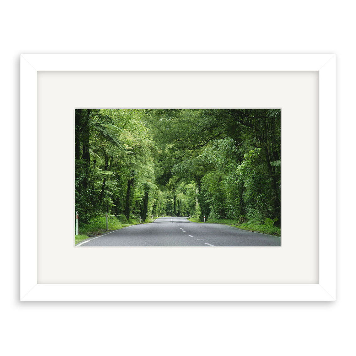 The Fitzgerald Glade - RP040 is a framed archival-quality photo featuring an empty two-lane road enveloped by lush green trees, creating a tunnel effect. It comes with a white mat and simple white frame.