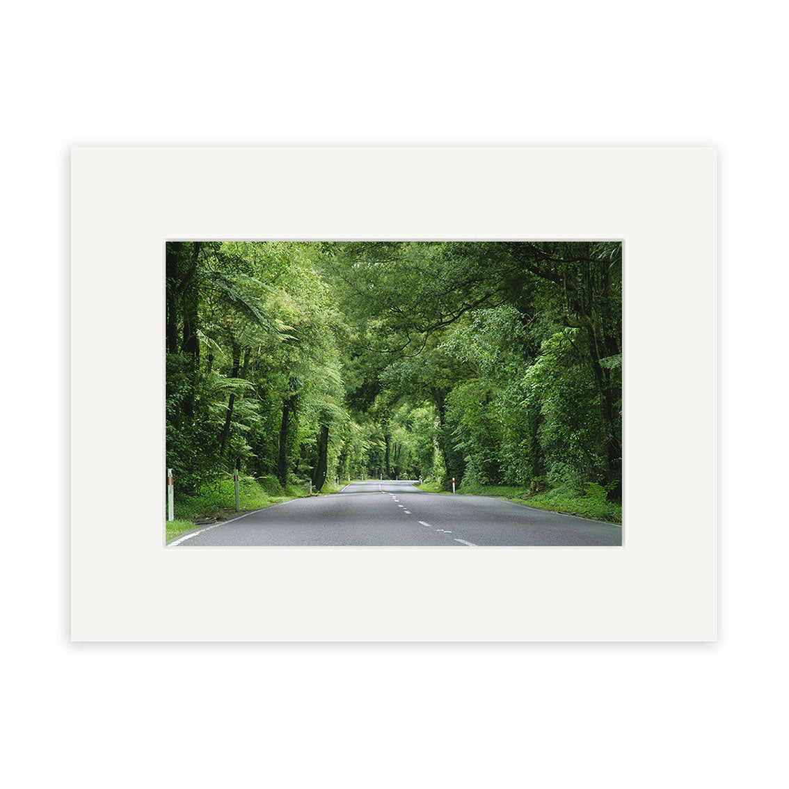 A paved road stretches through the dense greenery of New Zealand in Fitzgerald Glade - RP040, with arching trees overhead and lush vegetation. The archival quality photographic print features a wide, white border for an elegant finish.
