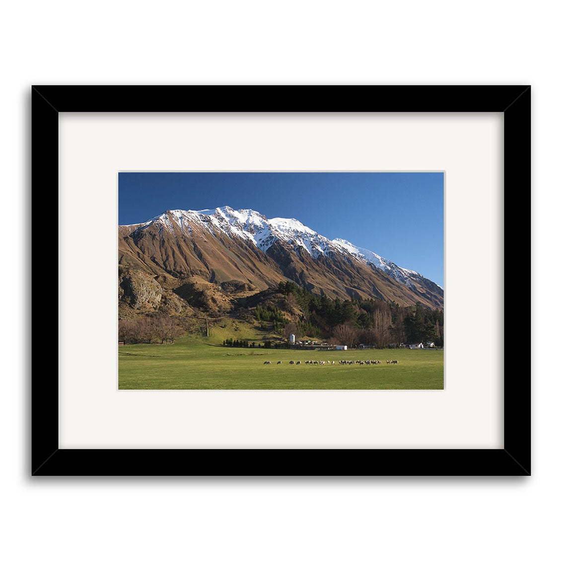 A framed archival matte print titled Erewhon Station - RP045 features a green field with grazing animals, trees, and buildings beneath snow-capped peaks and a clear blue New Zealand sky.