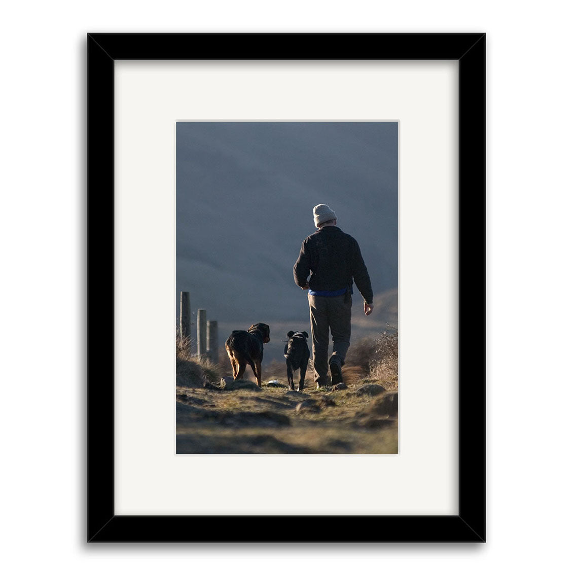 A person in a beanie and jacket walks two dogs along a dirt path in rural New Zealand with grass, fences, and hills—captured in Musterer - RP051, perfect for archival-quality photographic prints.
