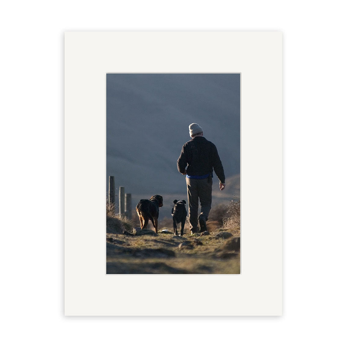 A person in a beanie walks with two dogs along a dirt path by New Zealand hills and a wooden fence—an ideal scene for archival quality photographic prints like the Musterer - RP051.