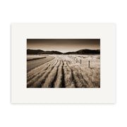 Canterbury back Country - RP052 is a sepia-toned Reuben Price photographic print depicting a rural New Zealand landscape with a dirt road, fence posts, tall grass, and distant mountains, presented with a white mat border.
