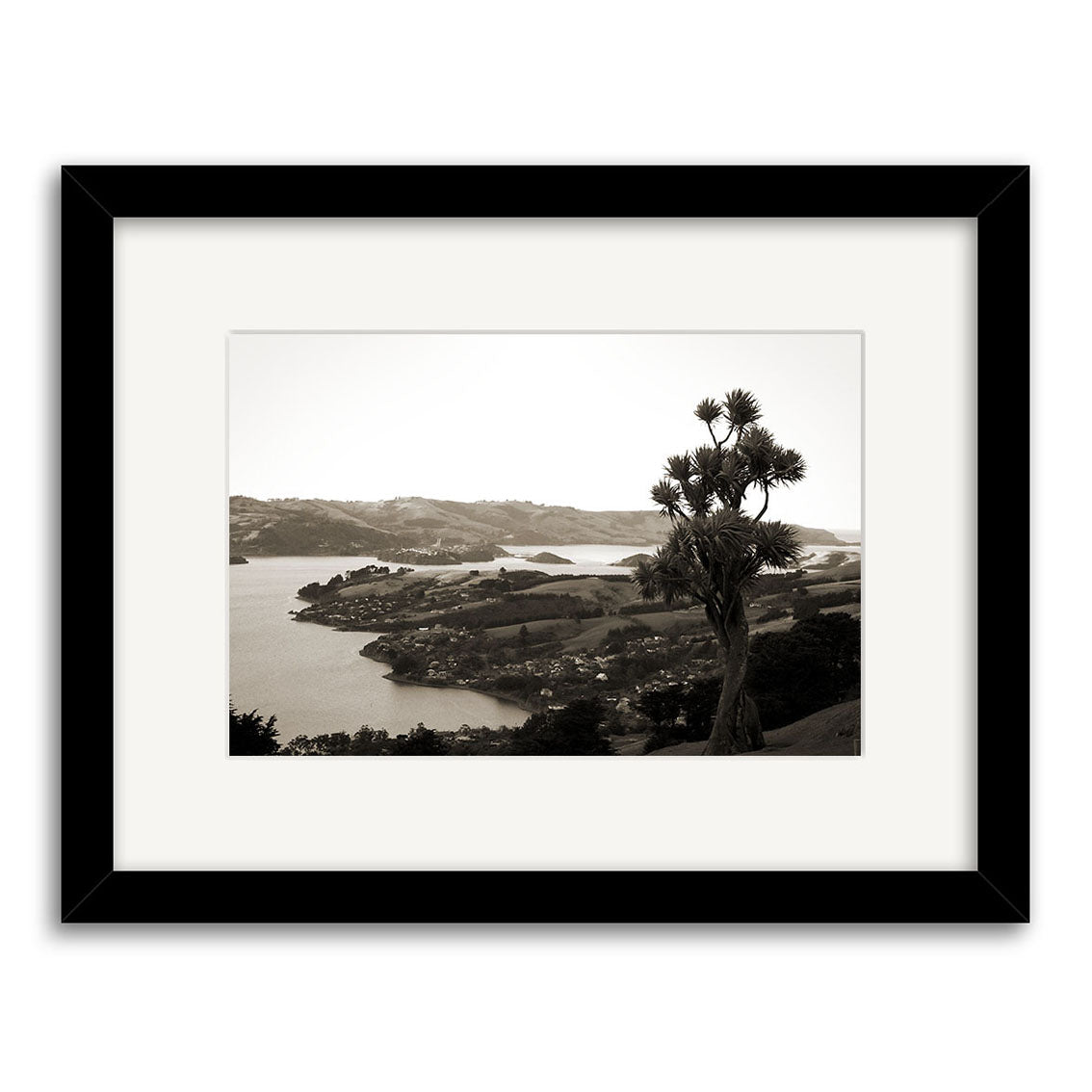 “Otago Peninsula 2 – RP061” is a black-and-white framed photo depicting a New Zealand coastal landscape with hills, water, and a spiky tree in the foreground, viewed from above and printed on archival quality matte paper.