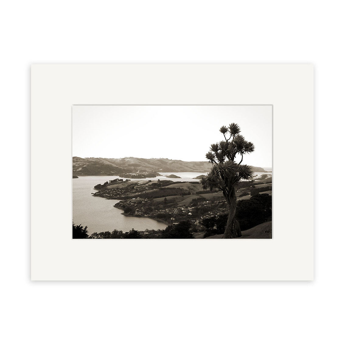 Otago Peninsula 2 - RP061: A sepia photograph of a New Zealand coastal landscape with rolling hills, water, and a tall tree in the foreground, printed on archival matte paper and presented in a white mat frame.