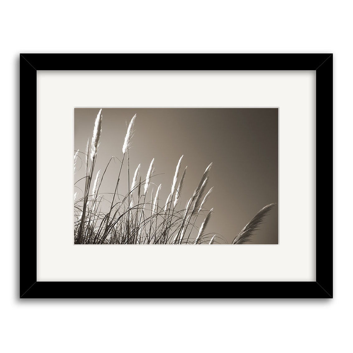 Toe Toe - RP084 is a framed sepia photograph by Reuben Price, featuring tall feathery grass against a clear sky. Part of the New Zealand photographic prints collection, its printed on archival quality matte paper for lasting beauty.