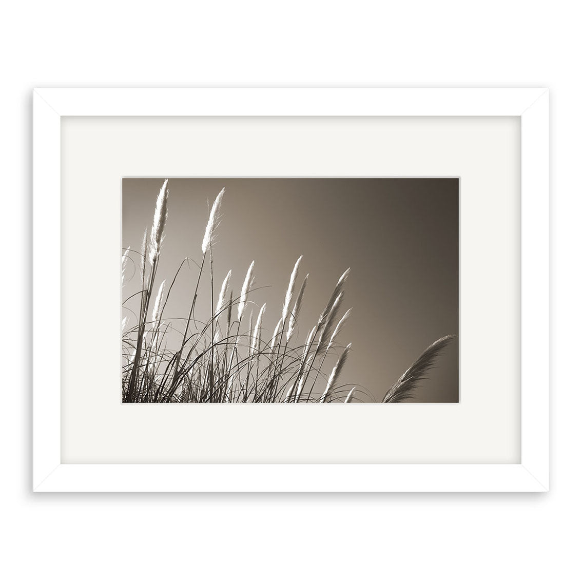 Toe Toe - RP084 is a framed photograph by Reuben Price, showcasing tall pampas grass with feathery plumes against a sepia-toned sky. Printed on archival matte paper and presented in a simple white frame for elegant display.