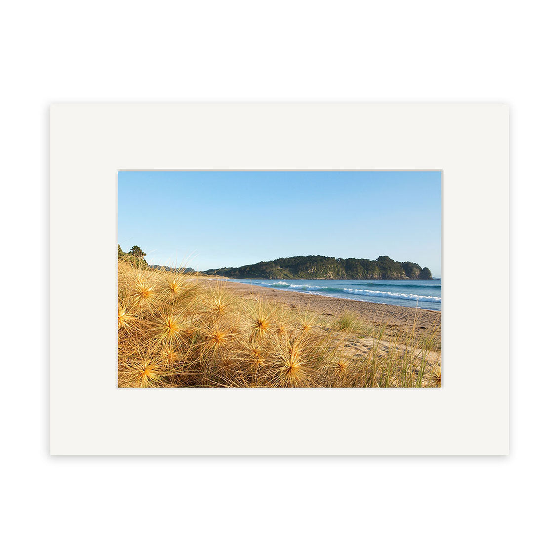 Hot Water Beach - RP123 by Reuben Price features dry grasses with yellow tufts, a sandy beach, waves, and a tree-covered headland under a blue sky—available as archival quality matte paper photographic prints.
