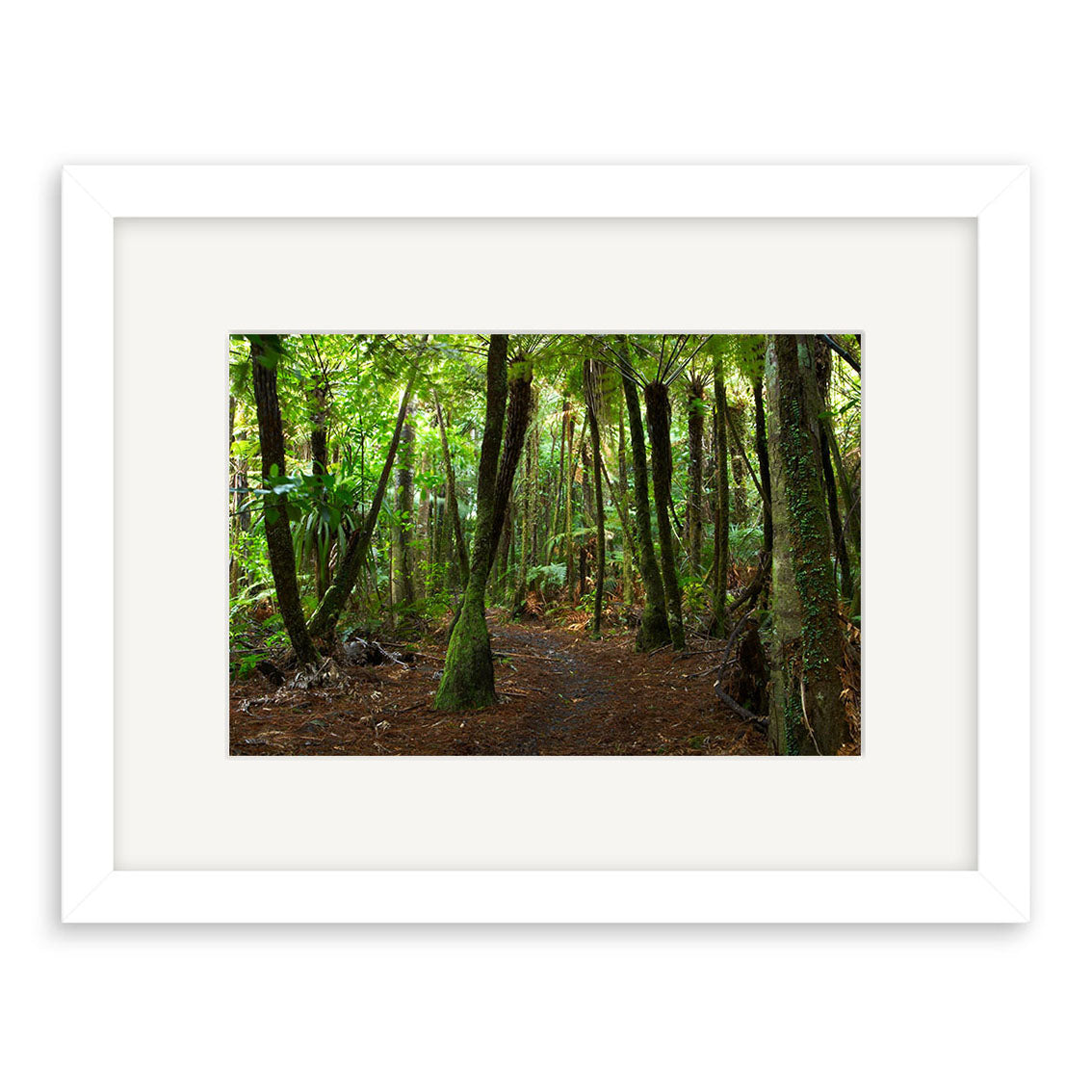 The Waitakere Bush - RP130 is a framed photographic print of a New Zealand forest path with tall trees and lush foliage, printed on archival matte paper and presented with a white mat and frame.