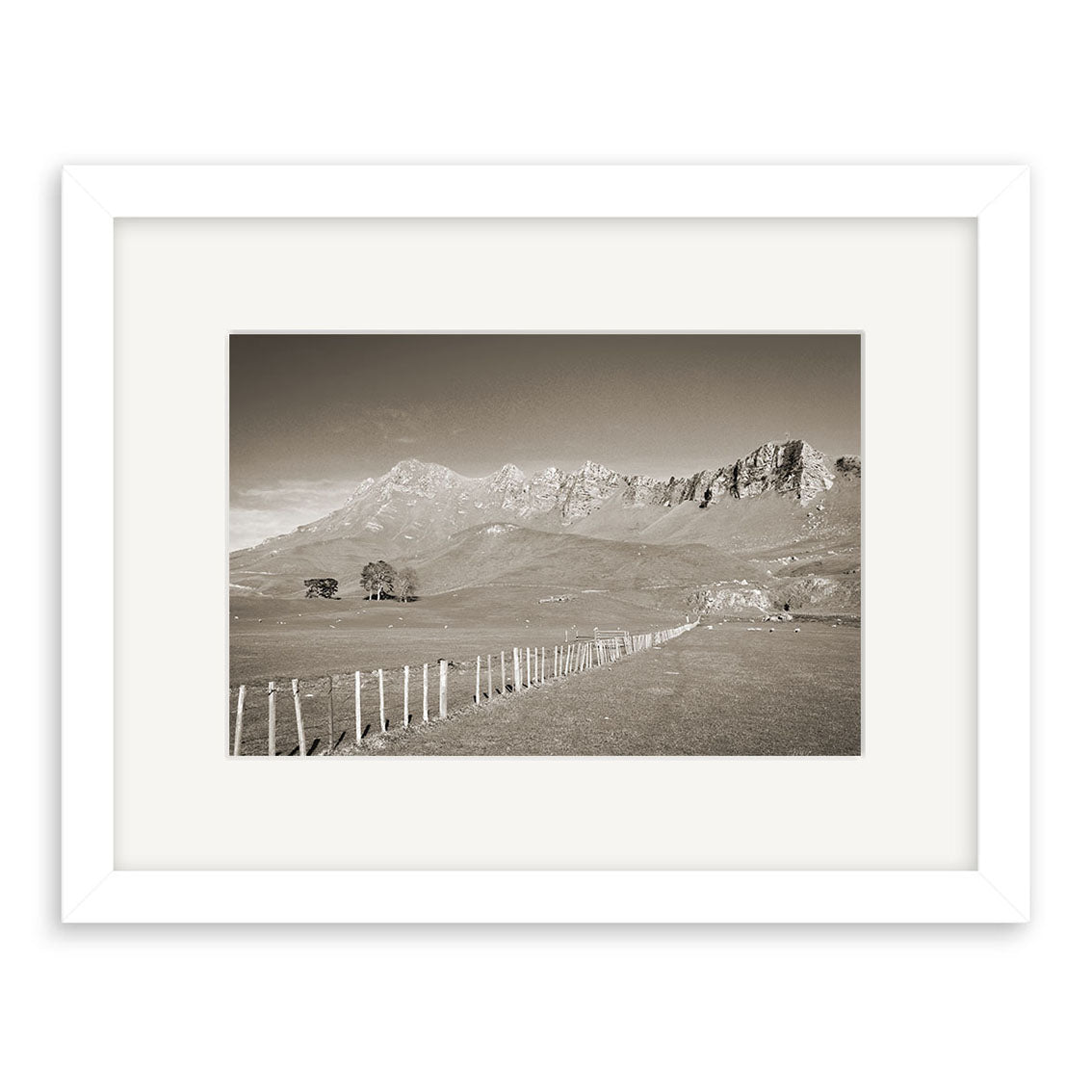 Black-and-white photograph titled Te Mata Peak - RP132 depicts a rural New Zealand landscape with a fence leading to distant mountains, trees, and grazing animals under a clear sky. Framed with white mat and archival quality matte paper.
