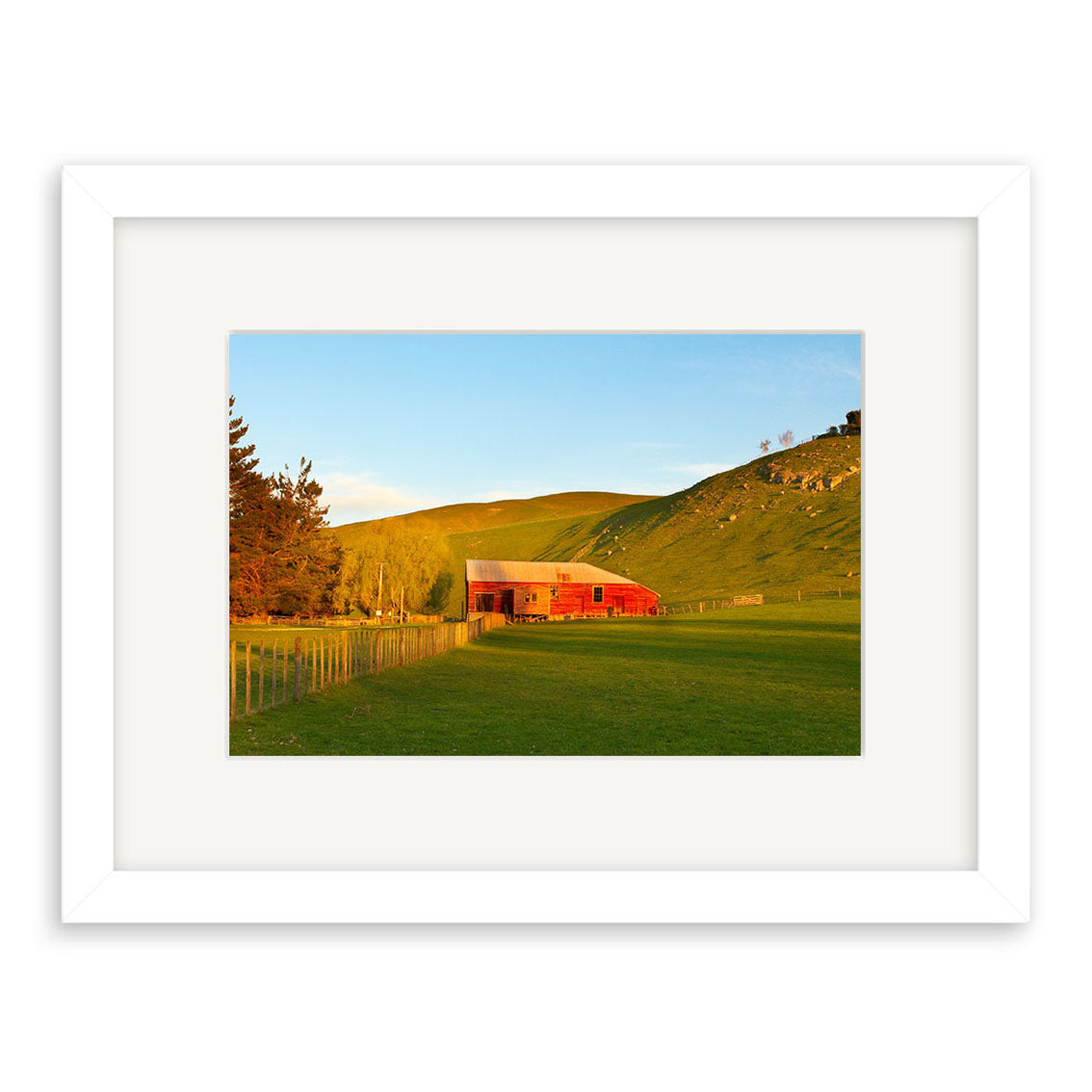 The Havelock North Red Barn - RP133 photographic print by Reuben Price features a red barn on green grass with a fence, trees, and rolling New Zealand hills at sunset. Beautifully framed with a white mat and frame.