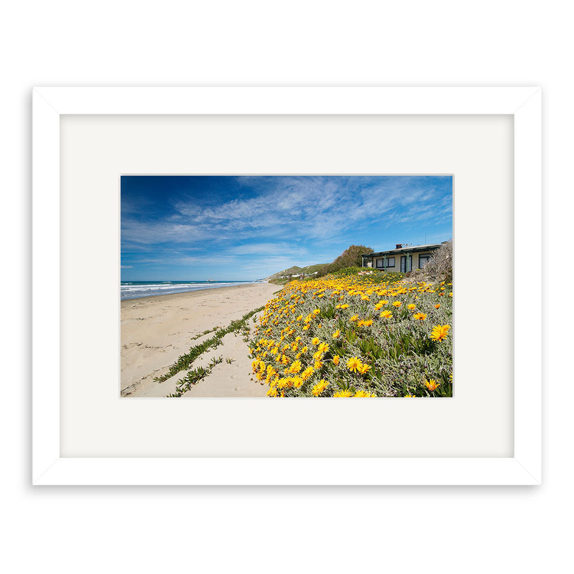 Ocean Beach - RP134: A framed Reuben Price photography print featuring a sandy beach with yellow flowers, ocean on the left, modern house on the right, and blue sky—ideal for lovers of New Zealand photographic prints.