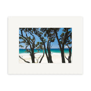 Pakiri Beach - RP143: A framed photo of a sandy New Zealand beach and turquoise ocean, viewed through tree silhouettes. Printed on archival matte paper and showcased in a white frame with simple matting.