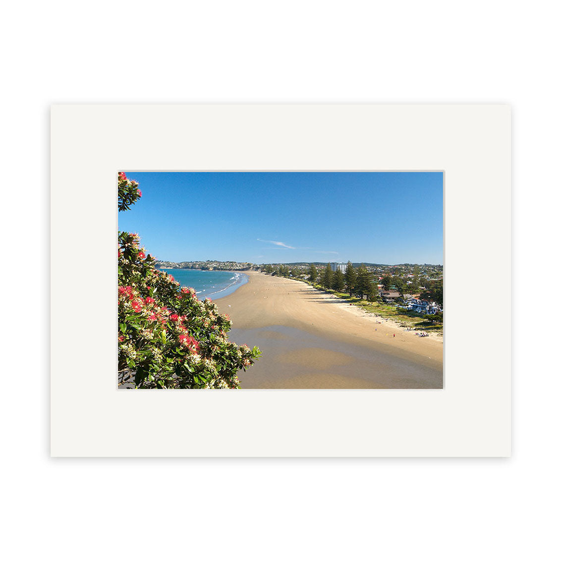 Capture the tranquil beauty of Orewa – RP148, featuring a sandy beach, calm blue water, clear sky, and pink-flowered trees. This New Zealand scene is available as a photographic print on archival quality matte paper.