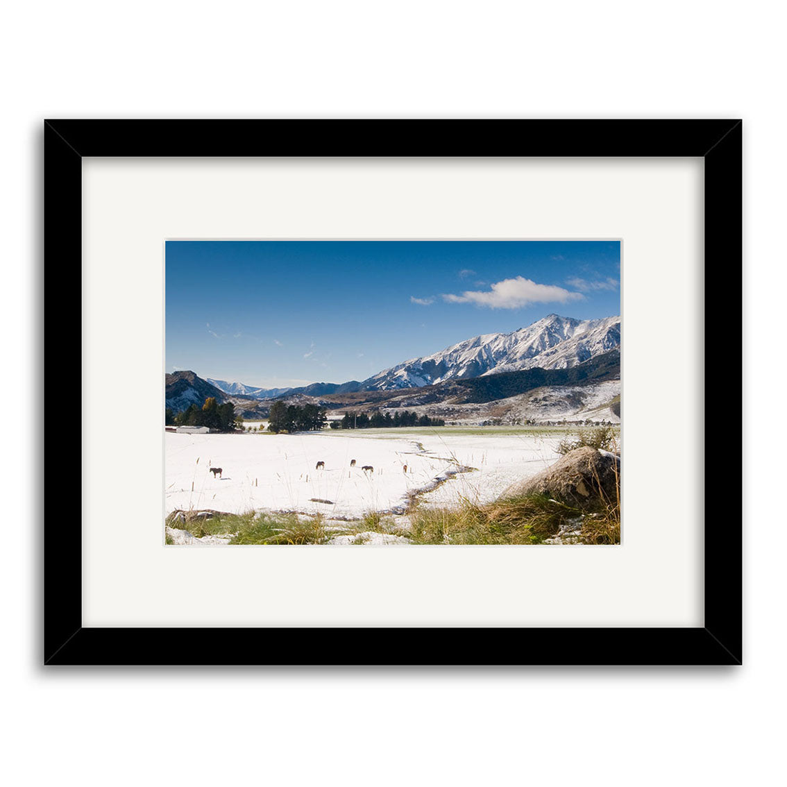 Castle Hill Station - RP150 is a framed photographic print of snowy New Zealand mountains, grazing animals, and grassy fields under a blue sky. Printed on archival matte paper with a black frame and white mat.
