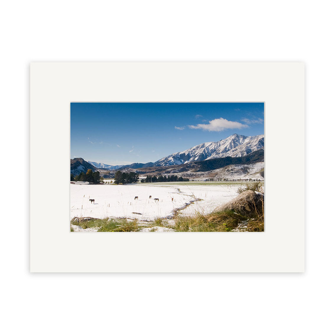A snowy landscape featuring mountains, blue sky, and grazing deer at Castle Hill Station - RP150. Grass and shrubs appear in the foreground—ideal for photographic prints on archival quality matte paper.