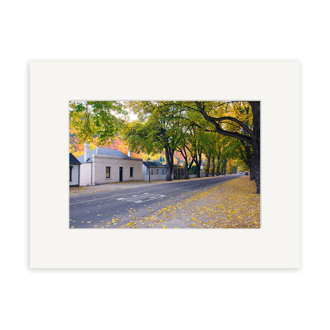 “Arrowtown Street in Autumn - RP161” captures a tranquil, tree-lined street with yellow leaves and a white building, reproduced as archival quality photographic prints for lasting beauty.