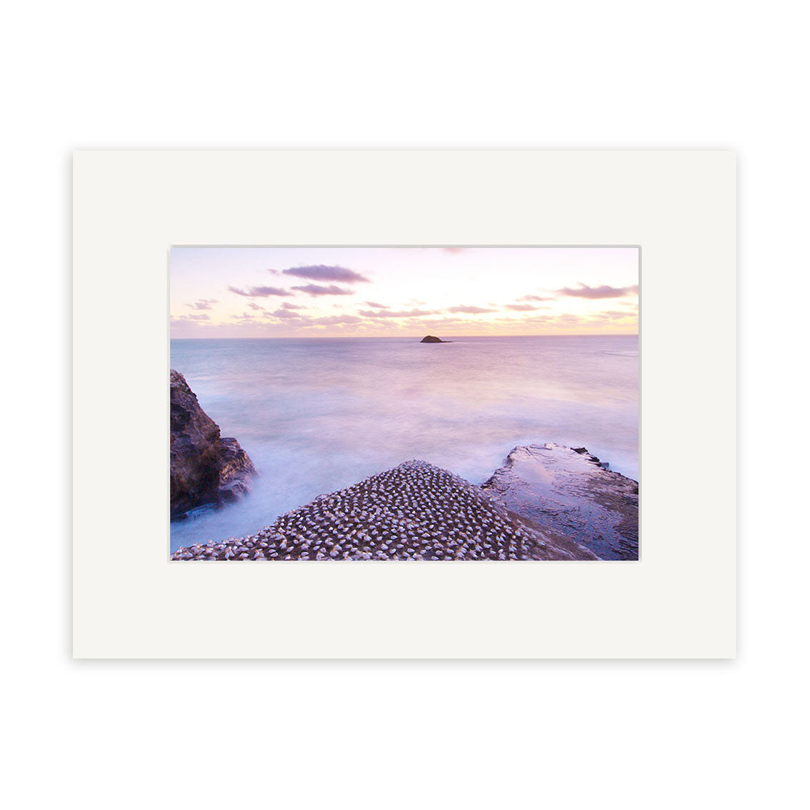 The Muriwai Gannets - RP167 is a framed photograph of a rocky New Zealand shoreline with patterned formations leading into calm pastel water under a cloudy sunrise or sunset, beautifully printed on archival quality matte paper.