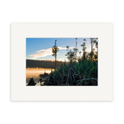 Lake Wahapo - RP182: Tall grasses and trees frame mist rising over calm water at sunrise or sunset in New Zealand, with distant woods beneath a partly cloudy sky—ideal for archival quality matte paper photographic prints.