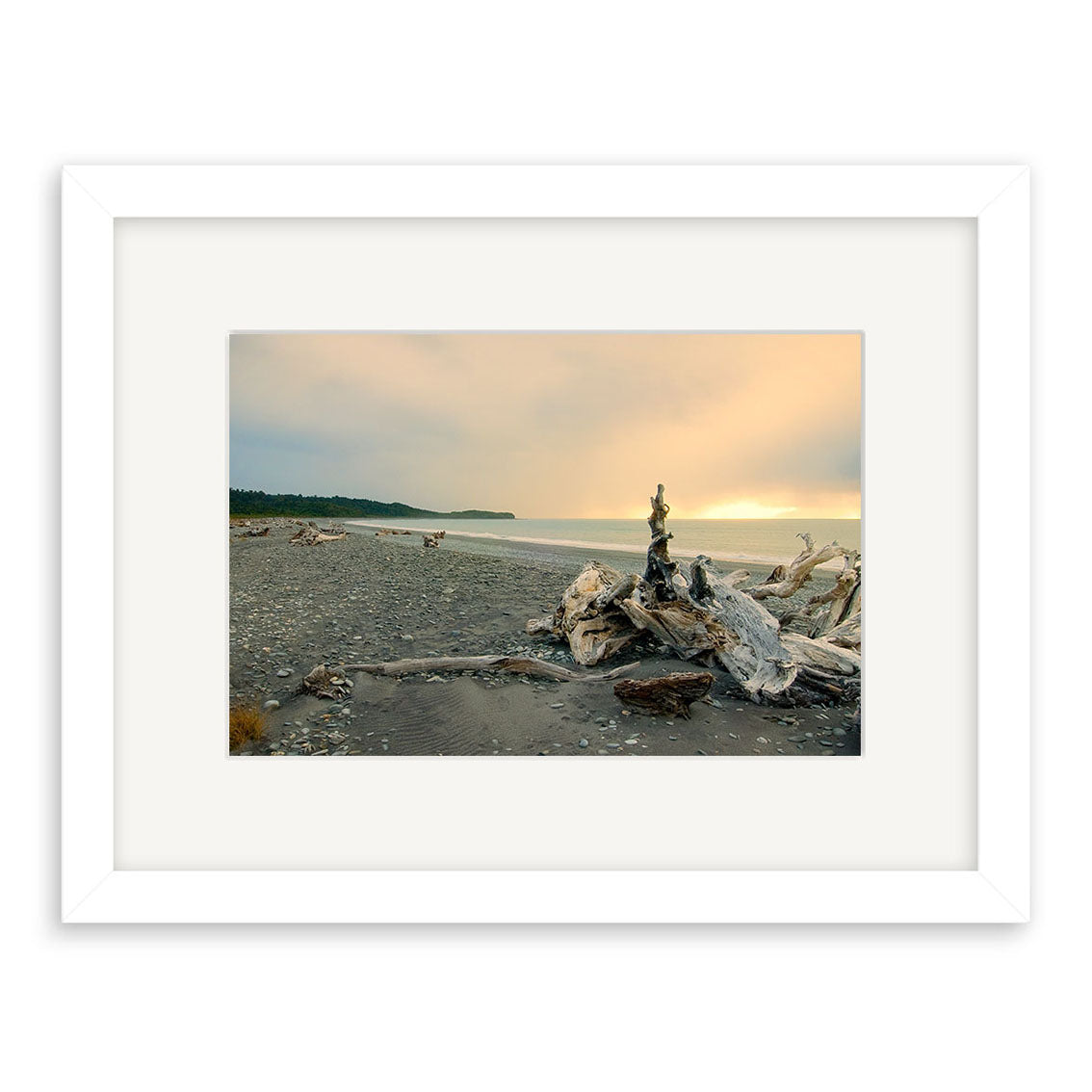 Gillespies Beach Driftwood - RP188: A sunset photo of driftwood on a rocky New Zealand shore, calm waters, and distant trees under a cloudy sky, presented with a white mat and simple white frame on archival quality paper.
