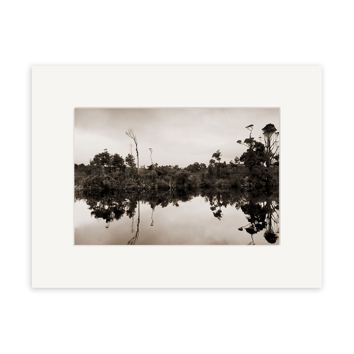 Gillespies Beach Reflections - RP189: A sepia photo of New Zealand trees mirrored in calm water, centered with a white mat on a white background. Printed on archival-quality matte paper for timeless elegance.