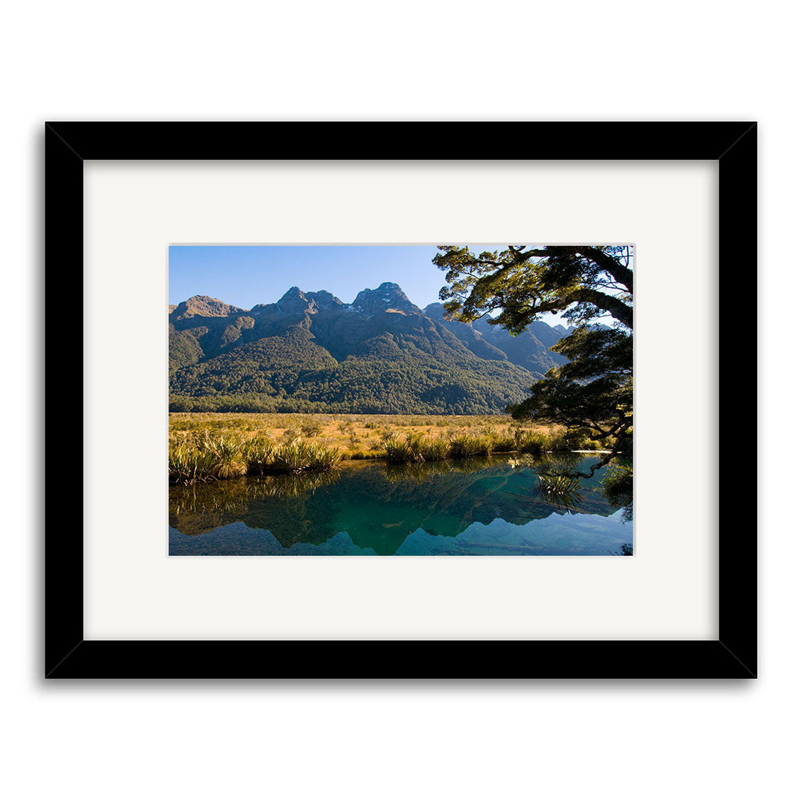 Framed Mirror Lakes - RP190 photograph by Reuben Price, featuring a mountain range, grassy field, still water with reflections, and a tree branch; part of the New Zealand photographic prints collection.